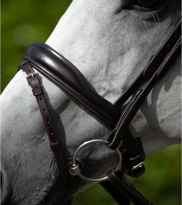 Produktbild Premier Equine Zaum Rizzo anatomisch