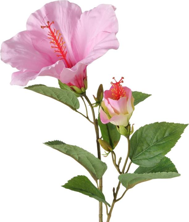 Immagine prodotto Boltze Home Stielblume (5 cm)