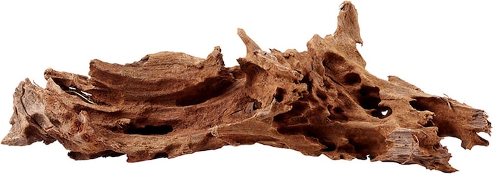 Actual product image Amazonas Mangrove wood (Sand, Tree)