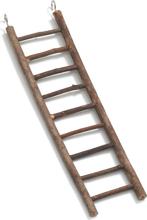 Swisspet Sittichleiter aus Naturholz