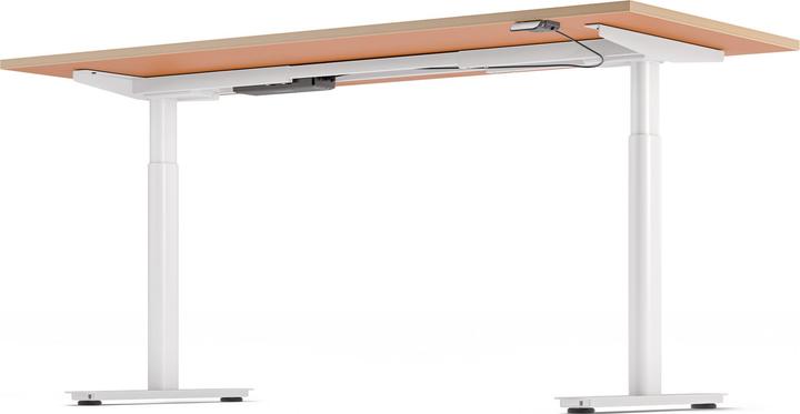 Actual product image ofinto Rise