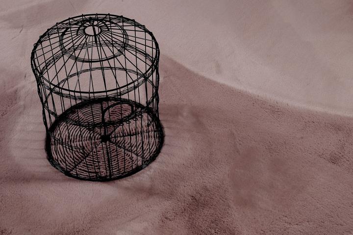 Image du produit Esprit Alice (200 x 290 cm)