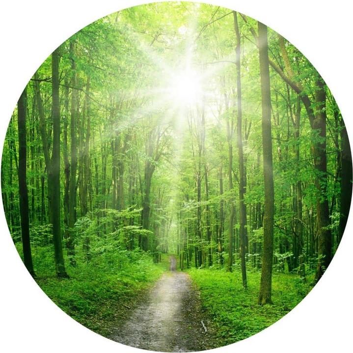 Immagine prodotto Trenddeko Foresta soleggiata (Ø 70 cm)