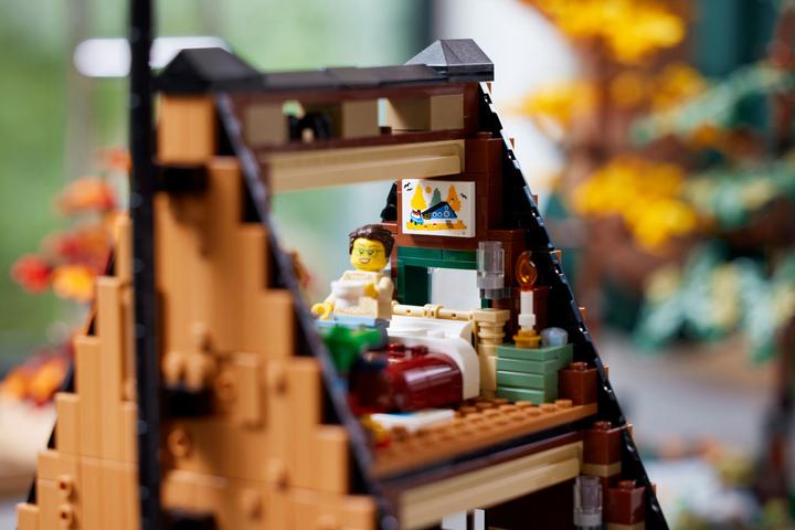 Immagine prodotto LEGO Idee Finn Cottage 21338 (21338, LEGO Ideas, Set LEGO rari)