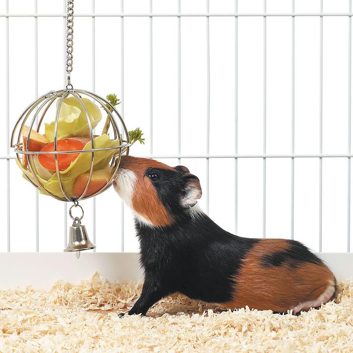 Immagine prodotto Swisspet Sfera di alimentazione con boccaporto di alimentazione