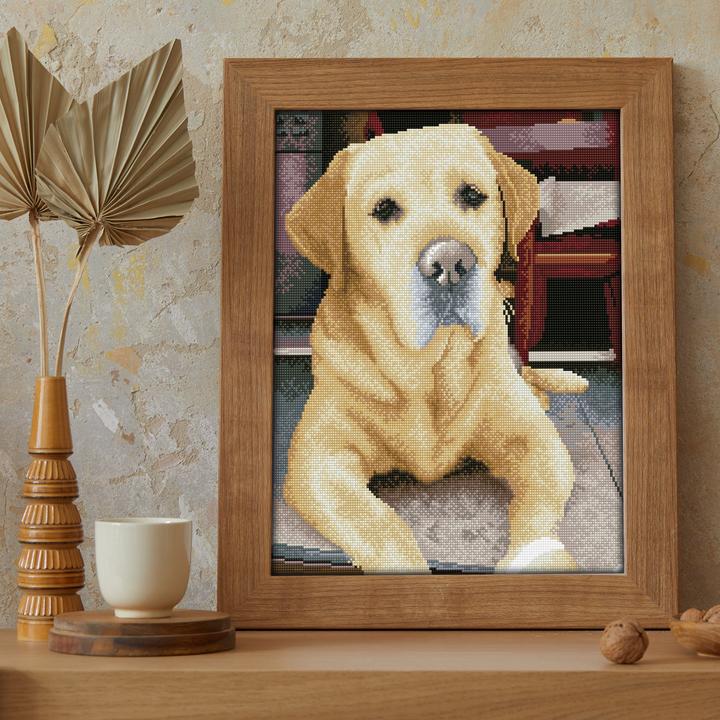 Image du produit Diamond Dotz Squares Original Diamond Painting Set Labrador "KING" 40 x 50 cm, 28.200 carrés
