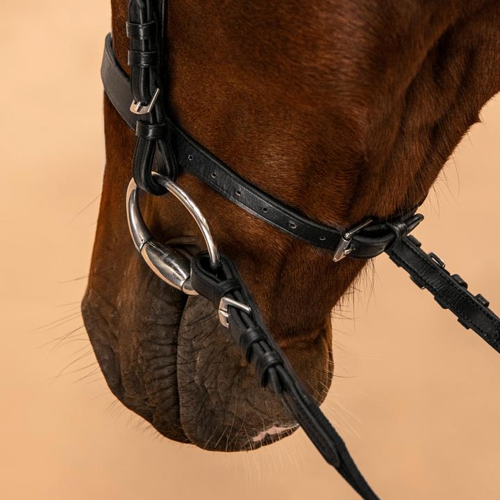 Actual product image Fouganza Snaffle Schooling Leather