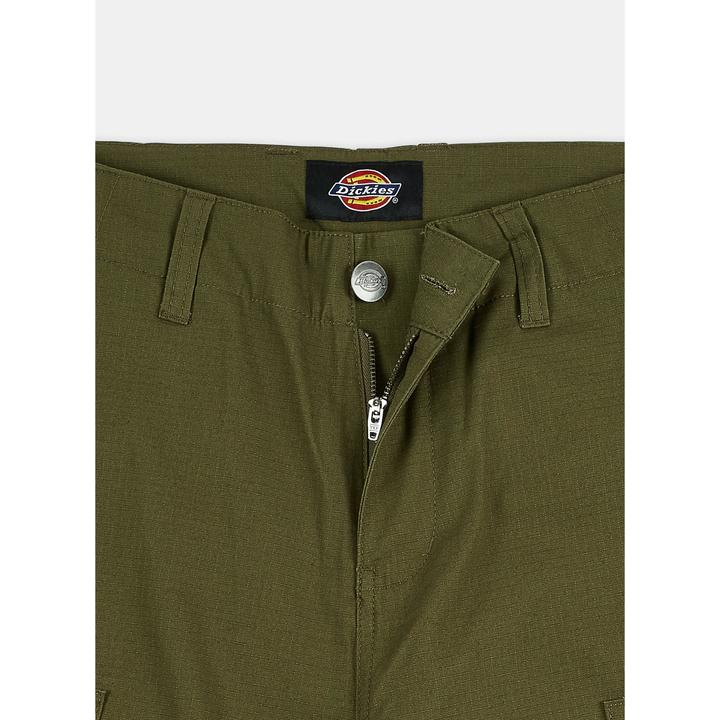 Actual product image Dickies Millerville cargo pants (M, L)