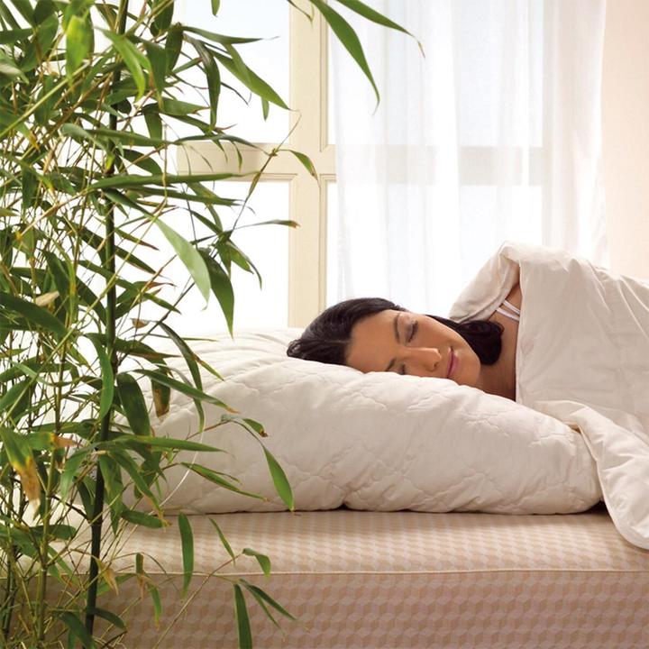 Image du produit Billerbeck Bettdecke Bamboo Uno leicht, Füllung: 90% Viskose, 10% Polyester (1100 g, 135x200 cm)