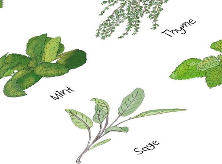 Image du produit Poster & Frame Printart (29.70 x 42 cm)