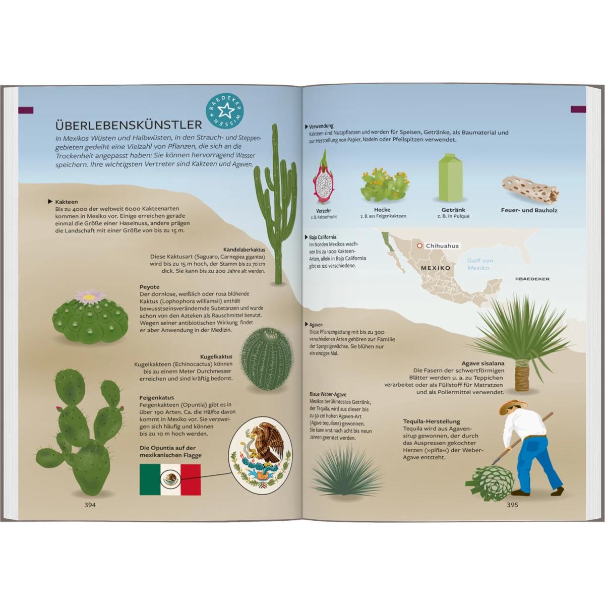 Thumbnail - Reiseführer Mexiko, Ratgeber von Juliane Israel