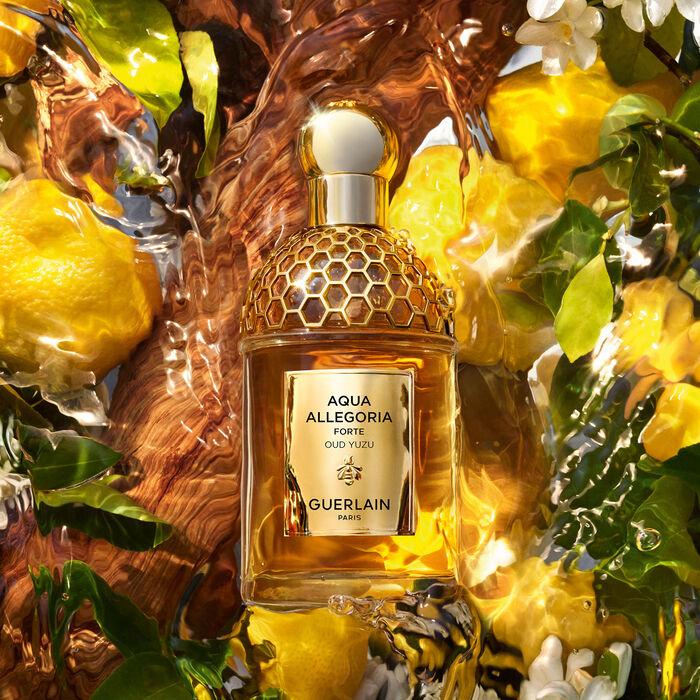 Produktbild Guerlain Aqua Allegoria Oud Yuzu Forte (Eau de Parfum, 75 ml)