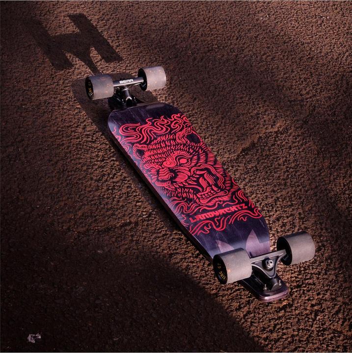 Image du produit Landyachtz M41462 (39")