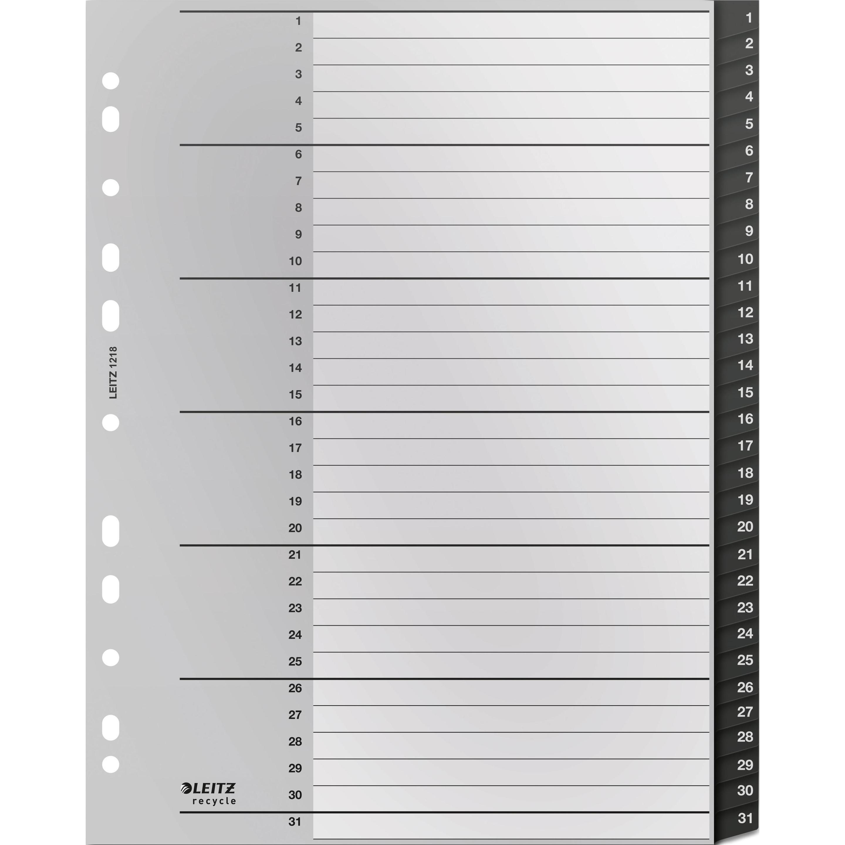 Leitz, Ordner Zubehör, Register Recycle 1-31