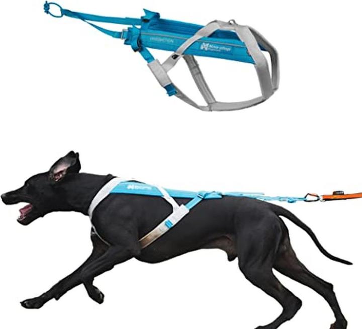 Image du produit Non-Stop Dogwear Harnais Freemotion 5.0 (XL, Chien, Sport canin)