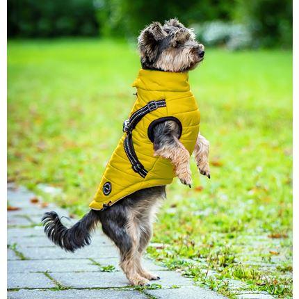 Produktbild Chiara Wintermantel mit Geschirr Nick (S, Hundemantel)