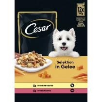 Produktbild Cesar Mp Gelee M.Fleisch&Gem (12 Stk., 1200 g)
