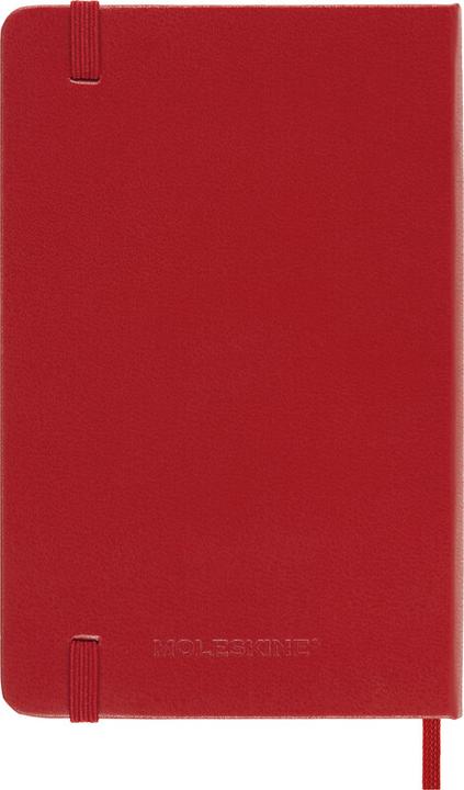 Produktbild Moleskine Daily (9 x 14 cm, Englisch)