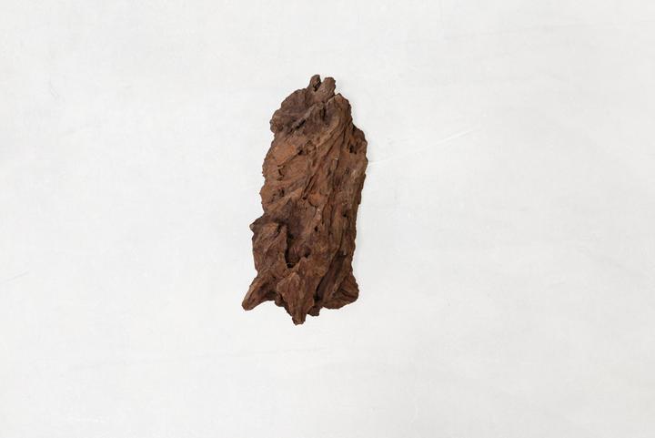 Produktbild Aquavie Aquariumdekoration Mangrovenwurzel (Wurzeln, Wurzeln)