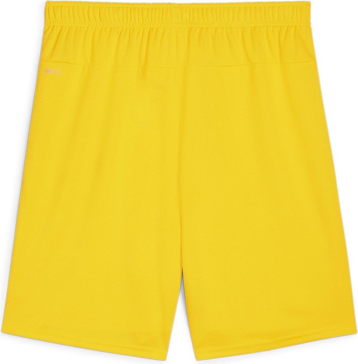 Actual product image Puma teamGOAL shorts (3XL)