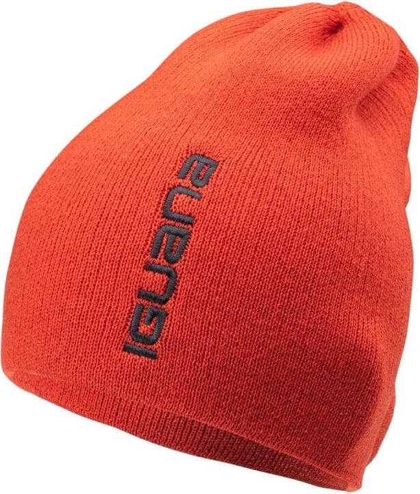 Actual product image Iguana Aspar-Kappe (One size)