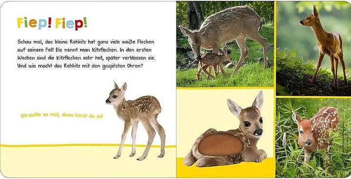 Immagine prodotto Hör mal rein, wer kann das sein? - Tierbabys (Tedesco)