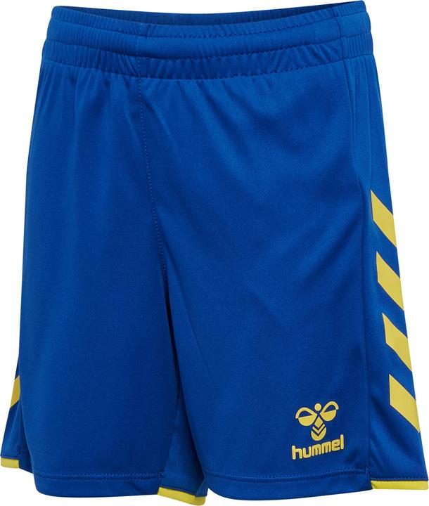 true blue/blazing yellow