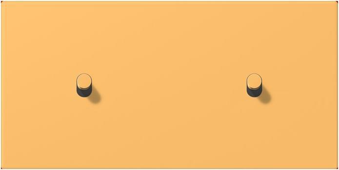 Image du produit JUNG Couvercle avec culbuteur