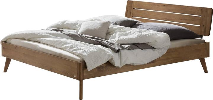 Chêne sauvage naturel