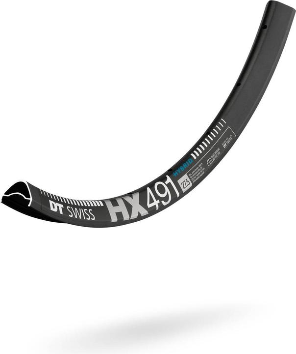 Actual product image DT Swiss HX 491 (22.99")