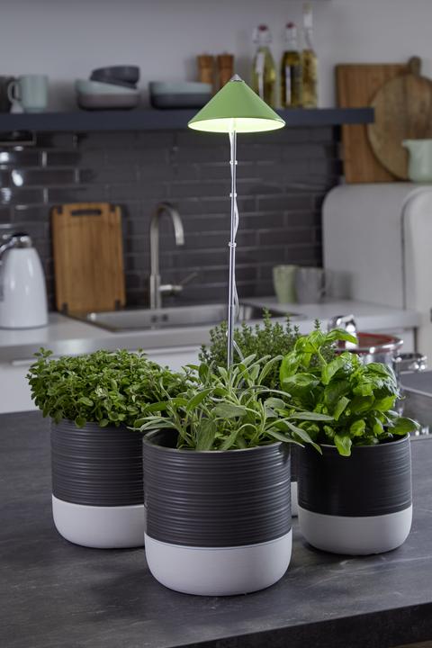 Actual product image Colibri Sunlite (LED, 230 V)