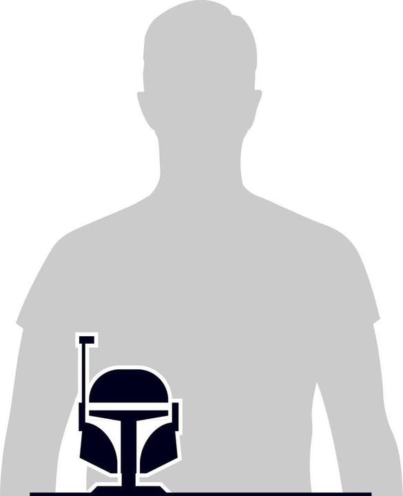 Produktbild Bosch Home & Garden Pfs 3000-2