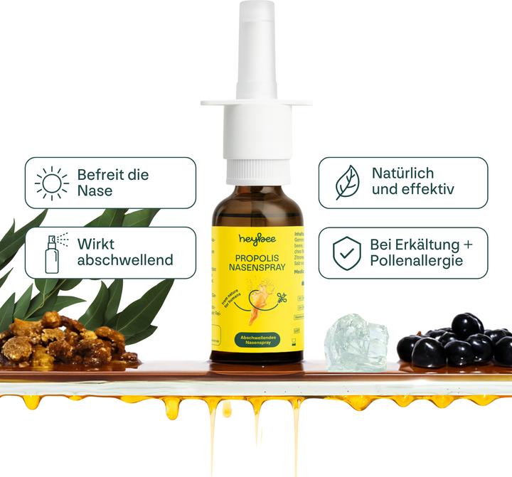 Produktbild Heybee Propolis Nasenspray (1 Stück)
