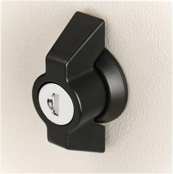 Immagine prodotto Eaton TRIPPLITE SmartRack Armadio industriale con serratura - NEMA 4 52,07cm 20,5Zoll Profondità 6U Grigio (6 HE, Rack da 19 pollici)