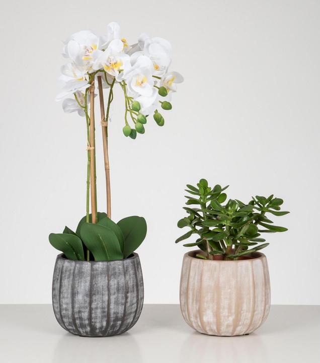 Produktbild Scheurich Runa (25.50 x 20 cm)