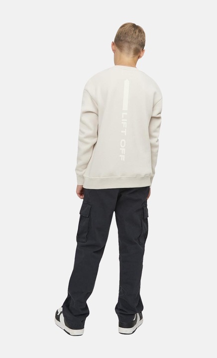 Actual product image Jack & Jones Cargo trousers JPSTKANE (146)