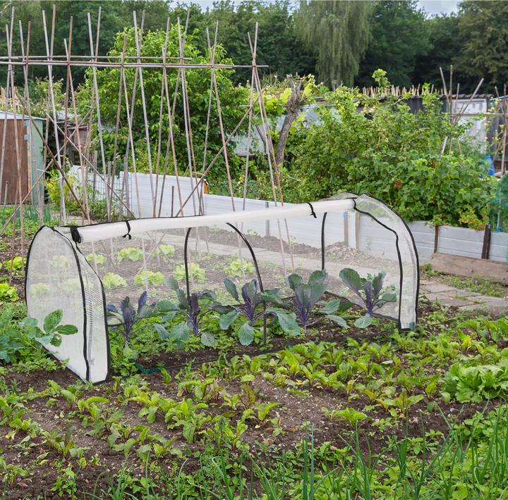 Produktbild Relaxdays Frühbeet