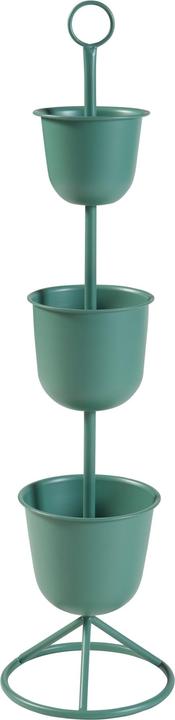 Vert