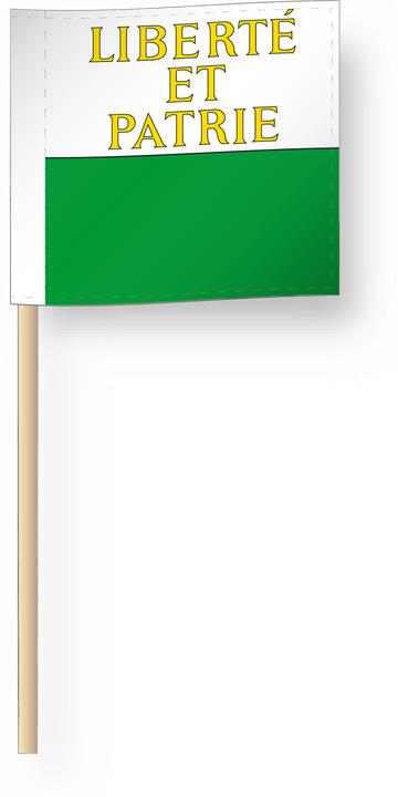 Image du produit Alpenfahnen Waadt (50 x 50 cm)