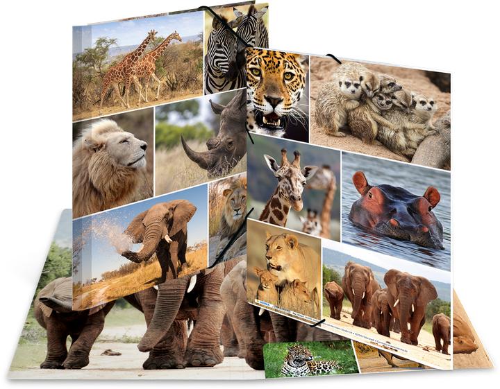 Produktbild HERMA Sammelmappe A4 Motiv (A4, 1x)