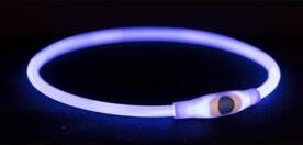 Produktbild Trixie Flash Leuchtring USB (L, XL, Hund, Hundesport)