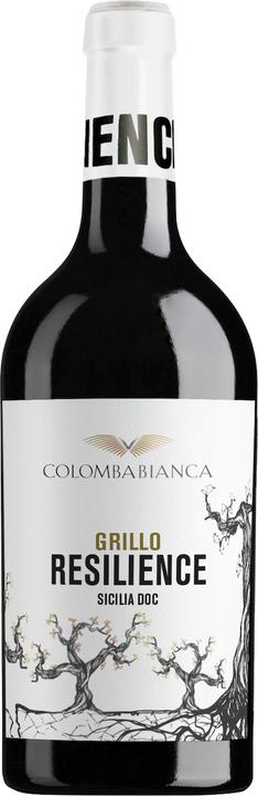 Colomba Bianca Resilience Grillo Sicilia DOC (2023)