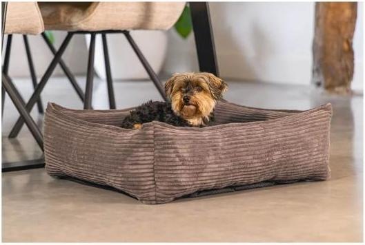 Actual product image Designed by Lotte Ribbed (Dog)