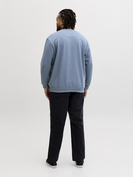 Produktbild Jack & Jones Jjebradley Sweat Crew Noos Pls