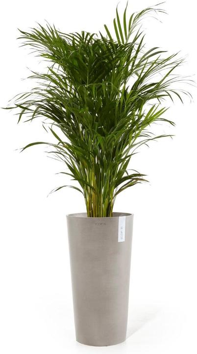 Image du produit Ecopots Amsterdam High (41.50 x 76.80 cm)