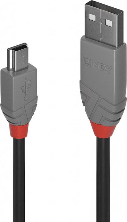 Produktbild Lindy Typ A an Mini-B (2 m, USB 2.0)