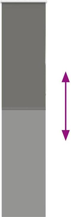 Actual product image vidaXL Verdunkelungsrollo (50 x 210 cm)