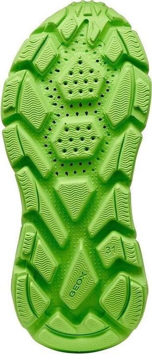 Actual product image Geox Sneaker (29)
