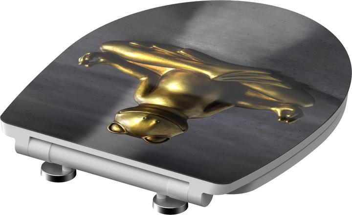 Produktbild Schütte Relaxing Frog