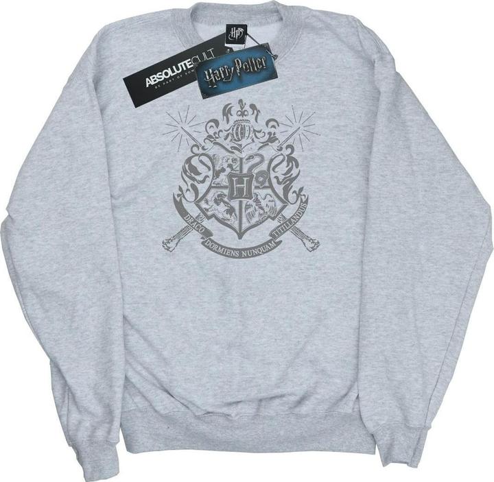 Actual product image Womens/Ladies Hogwarts Badge Wands Sweatshirt (L)